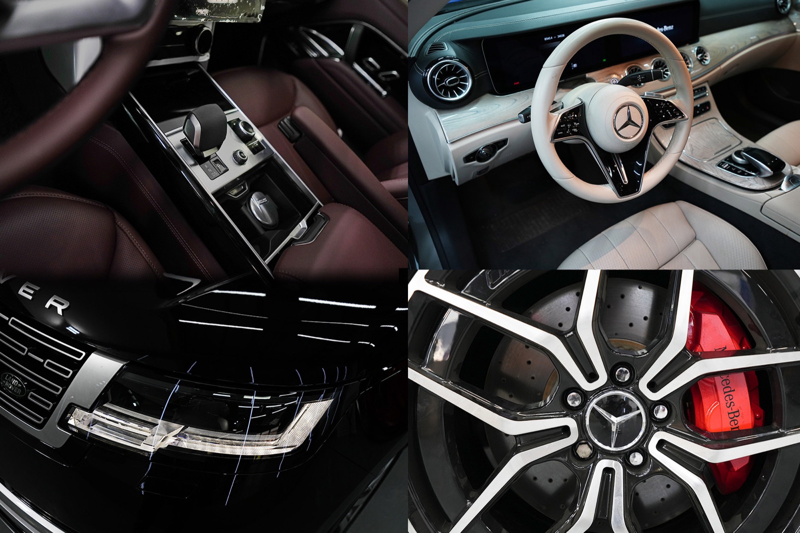 Aston Martin — Icon Rocklear Shield